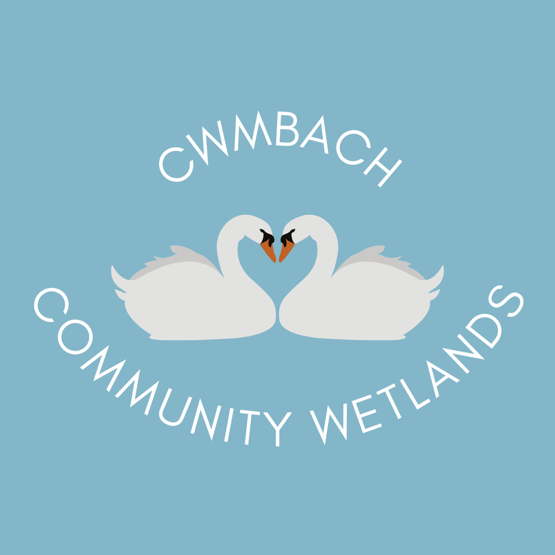 Cwmbach Community Wetlands